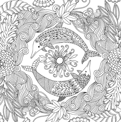 Follow Your Dreams Adult Coloring Book (31 stress-relieving designs) (Artists' Coloring Books) (Studio: Artist's Coloring Books)