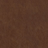 Lexicon 100% Top Grain Genuine Leather Chair, Leather Accent Chairs for Living Room, Solid Wood Frame, Rolled Armrest & Nailhead Trim, Comfy Reading for Bedroom, Office, Waiting Room, Brown Lexicon