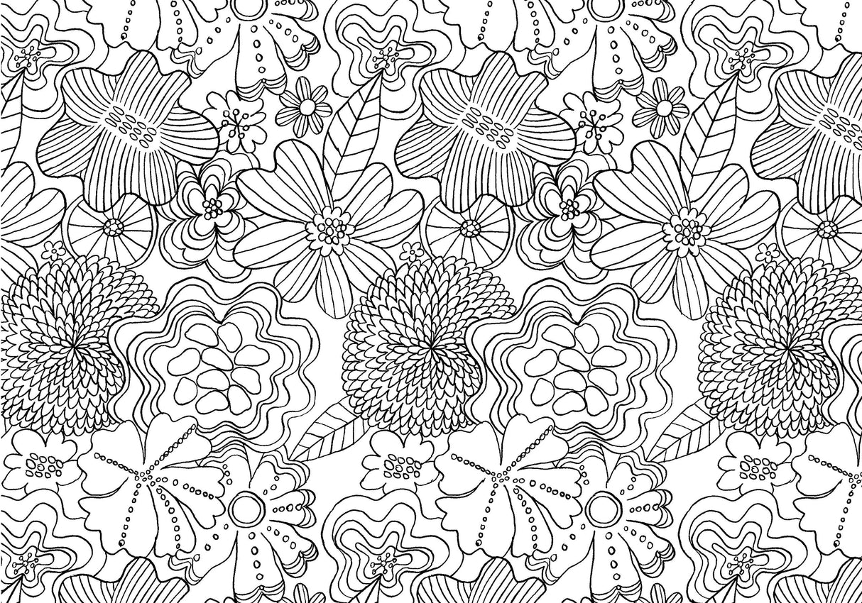 The Mindfulness Coloring Book: Relaxing, Anti-Stress Nature Patterns and Soothing Designs The Experiment