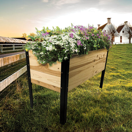 Wooden Raised Planter Box with Steel Legs-Elevated Outdoor Patio Garden Bed Kit to Grow Vegetables -Natural Rot Resistant Wood - 35.5'' W x 15.5'' L x 21.7'' (Tall) - Backyard Expressions (911214-NW) BACKYARD EXPRESSIONS PATIO · HOME · GARDEN
