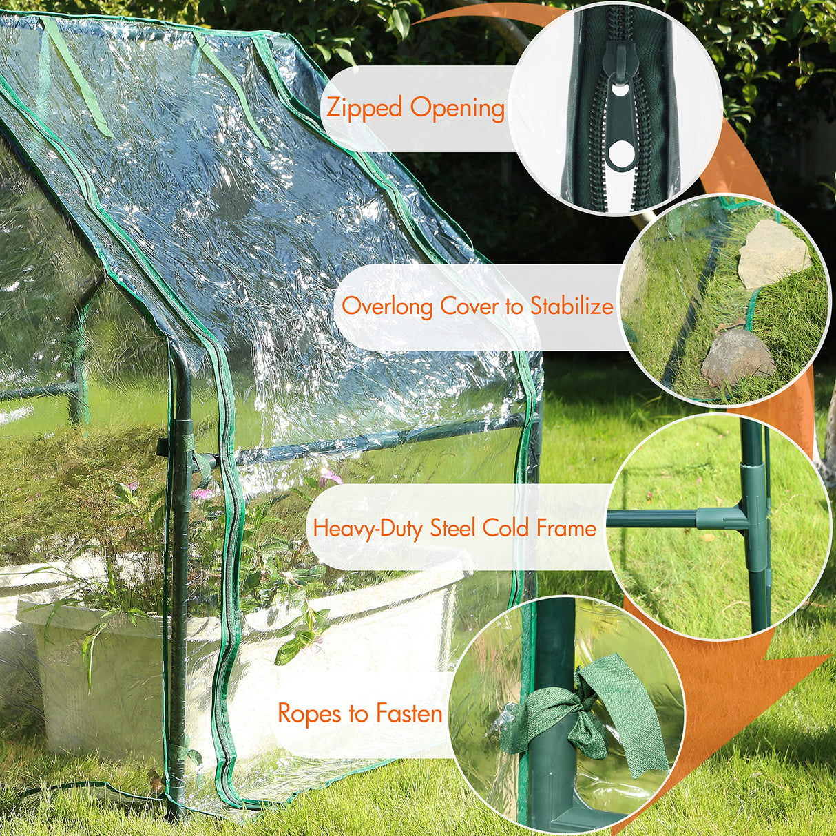 Gardzen Mini Greenhouse Heavy Duty Portable Green House, Clear Tent Indoor or Outdoor for Plants 36.2”(L) x36.2”(W) x42.5”(H) Gardzen