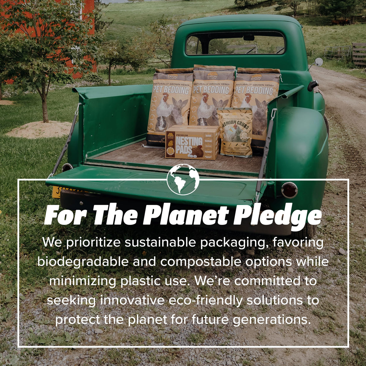 Eaton Pet and Pasture, Premium Laying Hen Nesting Pads, USA Grown & Sustainably Harvested, 13 x 13 (10 Pack) Eaton Pet and Pasture