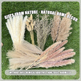 100Pcs Pampas Grass Boho Home Decor 17 inch Natural Dried Flowers-Pampas Grass Contains Bunny Tails White Pampas Brown Pampas.Boho Decor for Farmhouse Wedding Boho Wall Bathroom Office Kitchen… CZCTLUL