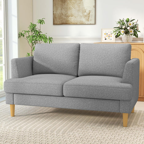 Busaurus Loveseat - Mid Century 56" Upholstered 2-Seater Couch for Living Room, Bedroom, Apartment - Grey Busaurus