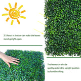 ODTORY Artificial Grass Wall Panel Backdrop,10" X 10" 12P(8.4 sqft) UV-Anti Greenery Boxwood Panels for Indoor Outdoor Green Wall Decor & Ivy Fence Covering Privacy ODTORY
