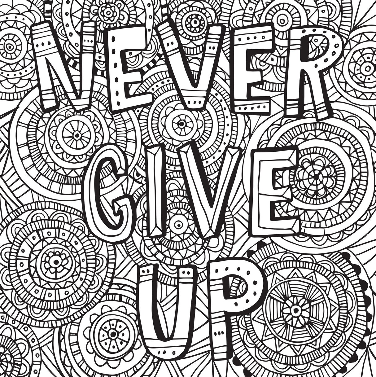 Joyful Inspirations Adult Coloring Book (31 stress-relieving designs) (Artists' Coloring Books) PETER PAUPER PRESS