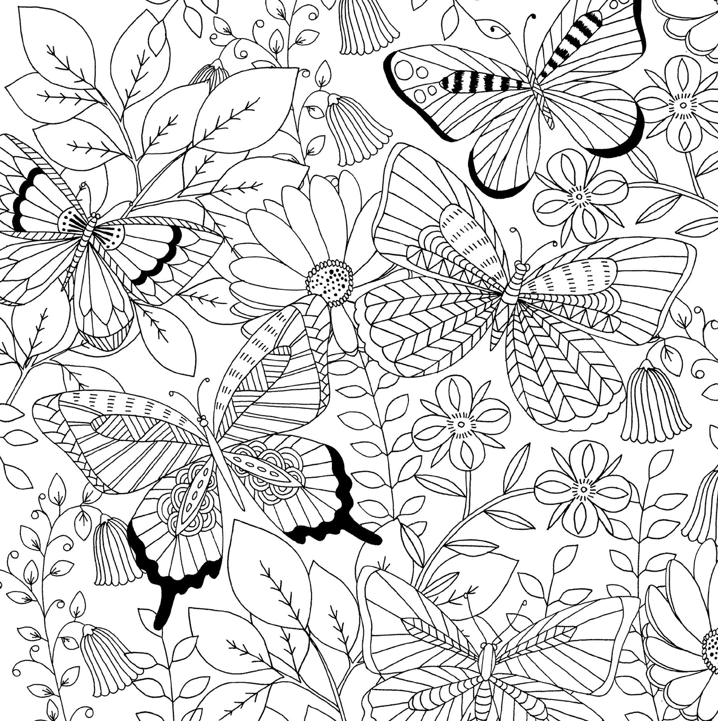 Follow Your Dreams Adult Coloring Book (31 stress-relieving designs) (Artists' Coloring Books) (Studio: Artist's Coloring Books)