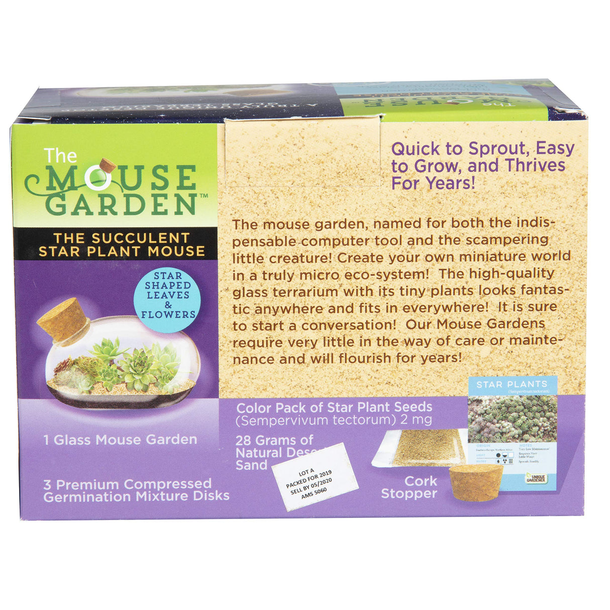 Grow Your Own Succulent Star Plant Mouse with Our Glass Terrarium Starter Kit - Fun and Easy to Grow with Complete Supplies - Plant A Mouse Garden That Will Last for Years - Great for Home Or Office Unique Gardener