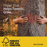 HP Printer Paper | 8.5 x 11 Paper | Premium 24 lb | 1 Ream - 500 Sheets | 100 Bright | Made in USA - FSC Certified | 112400R HP Papers