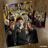 AQUARIUS Harry Potter Puzzle Character Collage (1000 Piece Jigsaw Puzzle) - Officially Licensed Harry Potter Merchandise & Collectibles - Glare Free - Precision Fit - 20x28in AQUARIUS