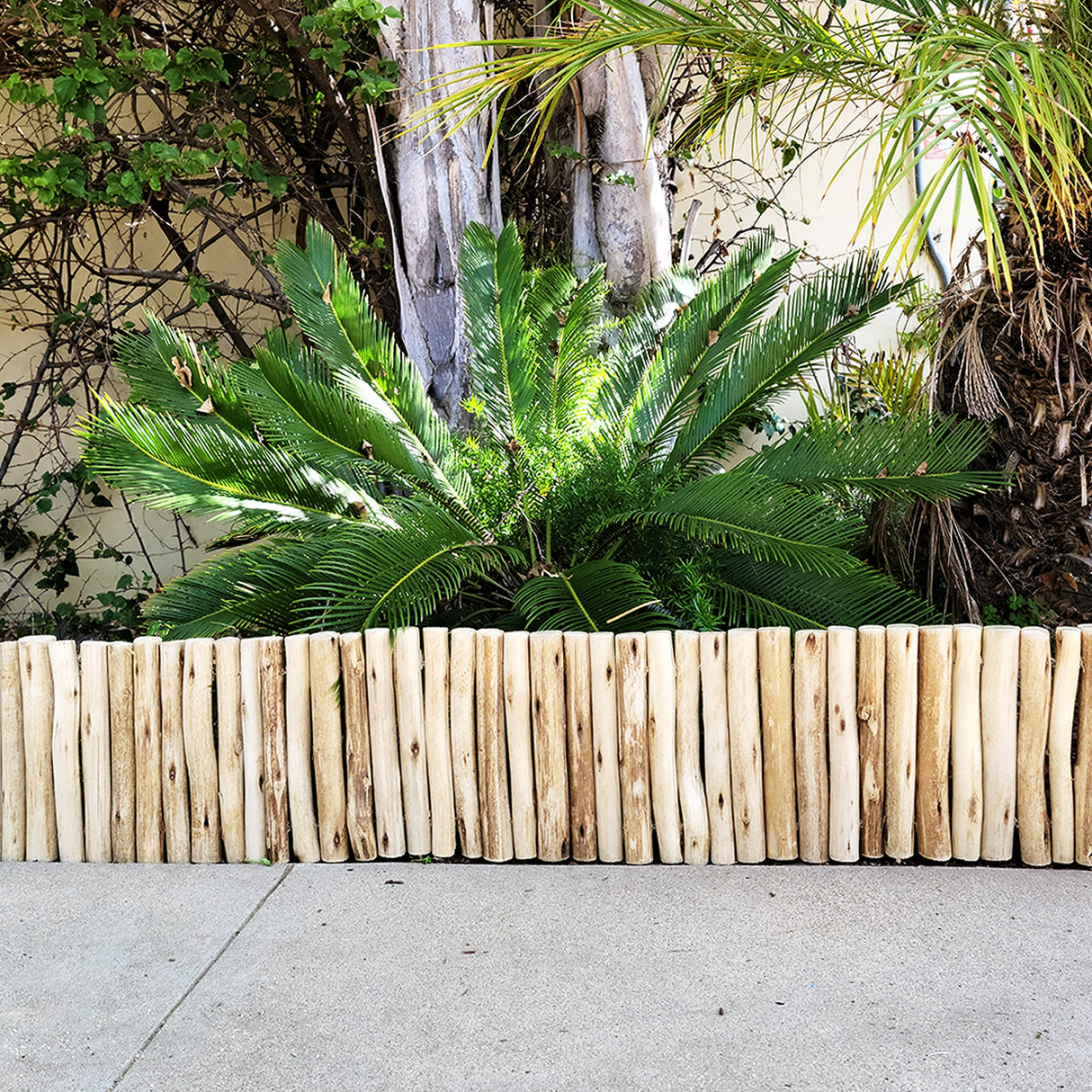 Backyard X-Scapes Natural Eucalyptus Wood Solid Log for Garden Border Edging Landscaping Borders Lawn 72 in L x 12 in H x 1.25 in D Backyard X-Scapes