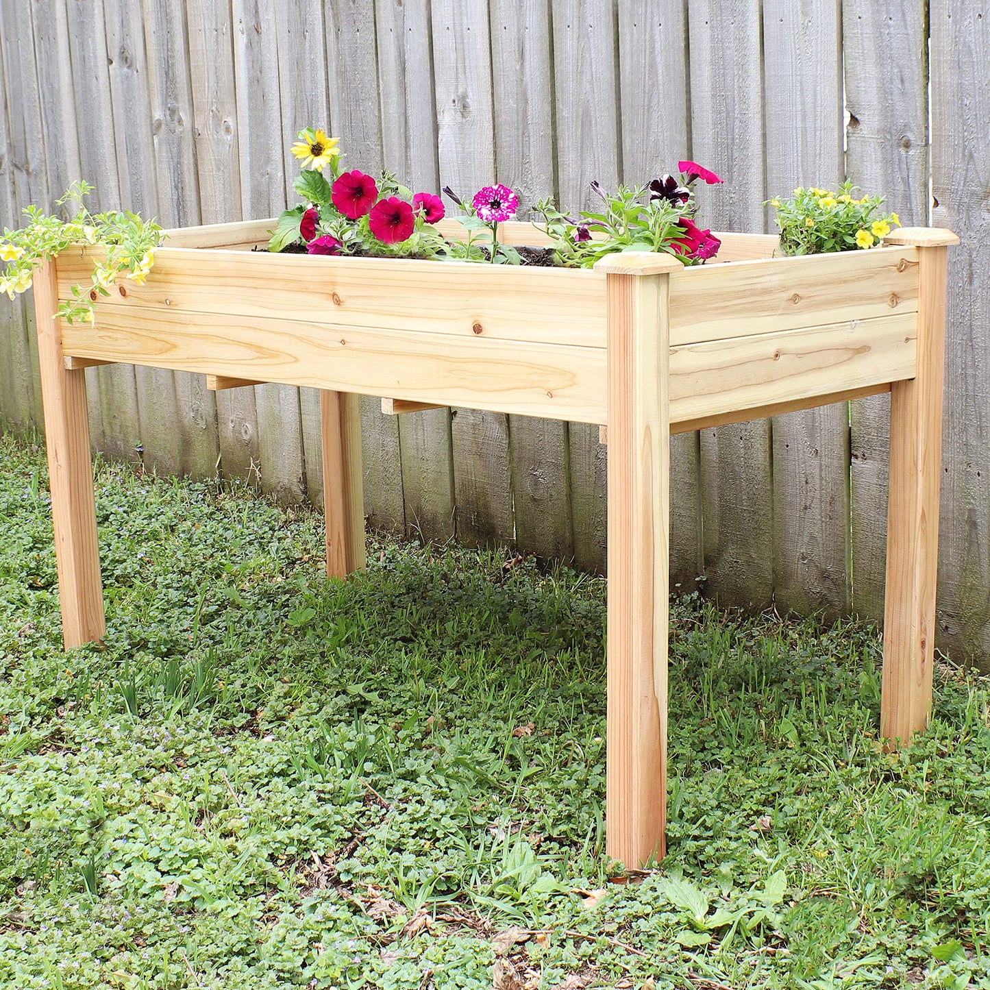 Sunnydaze 48.5-Inch Wood Raised Garden Bed - Outdoor Rectangular Elevated Planter Box with 2 Drainage Holes