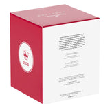 Hallmark Keepsake Christmas Ornament 2025, Keepsake Village Musical with Light and Motion Hallmark Keepsake