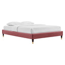 Harlow Performance Velvet Queen Platform Bed Frame by Modway HouseOfZazla