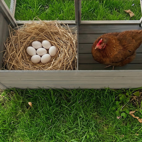 20.93ft² Large Wooden Chicken Coop Outdoor Hen House HouseOfZazla