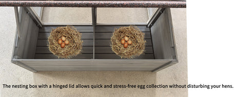 Large Chicken Coop with 20.93 Sq Ft Run HouseOfZazla