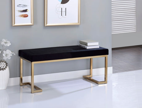 Boice - Bench - Black HouseOfZazla