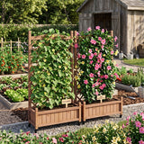 Raised Garden Bed With Trellis 2 Pack, Outdoor Planter Box & Plant Stand With Climbing Racks - Brown