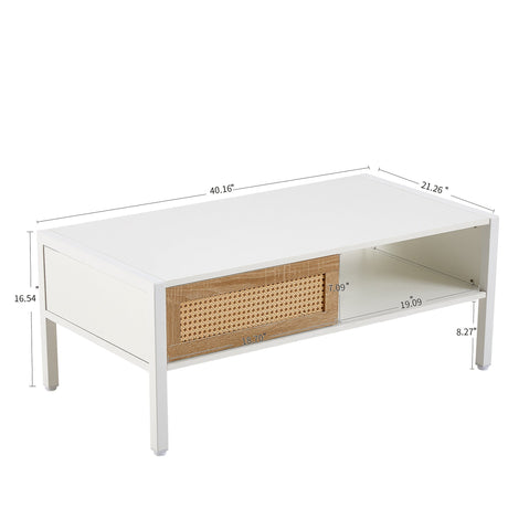 Modern Rattan Coffee Table with Sliding Door HouseOfZazla