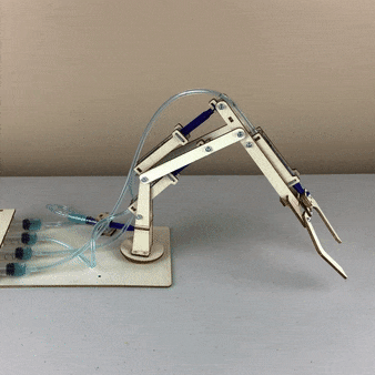 Hydraulic Robotic Arm DIY Kit, Educational STEM Toy Kitsville