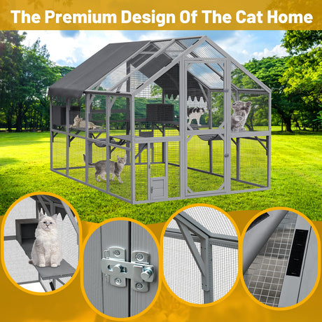 Cat House HouseOfZazla