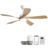 Ceiling Fan with DC Motor and Integrated Light HouseOfZazla