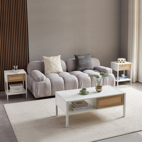 Modern Rattan Coffee Table with Sliding Door HouseOfZazla