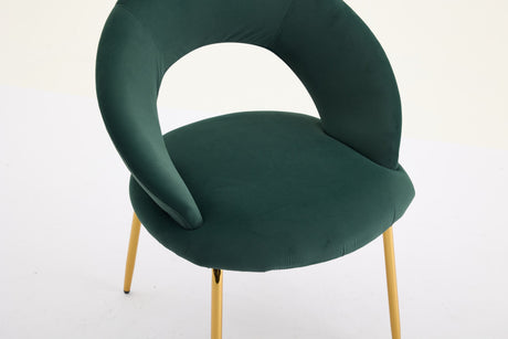Velvet Fabric Dining Chair with Curved Backrest and Golden Metal Legs HouseOfZazla