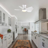 Low Profile Flush Mount Ceiling Fan With Light