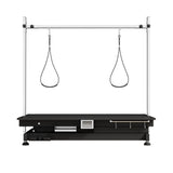Super Deluxe Electric Pet Grooming Table, Height Adjustable