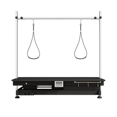 Super Deluxe Electric Pet Grooming Table, Height Adjustable
