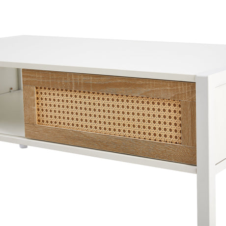 Modern Rattan Coffee Table with Sliding Door HouseOfZazla
