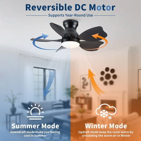 Low Profile Flush Mount Ceiling Fan With Light HouseOfZazla