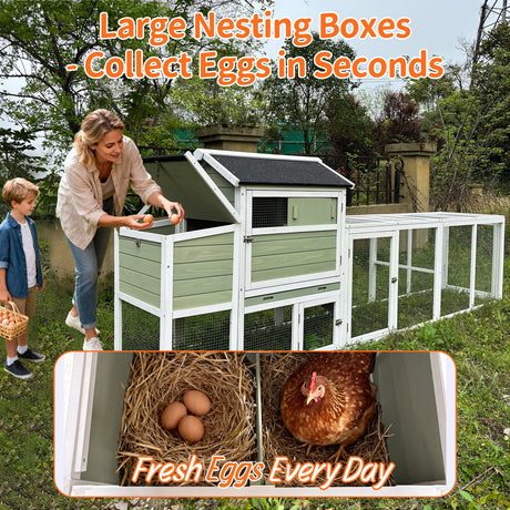 Wooden Chicken Coop, Large Outdoor Hen House with Run and Nesting Box HouseOfZazla