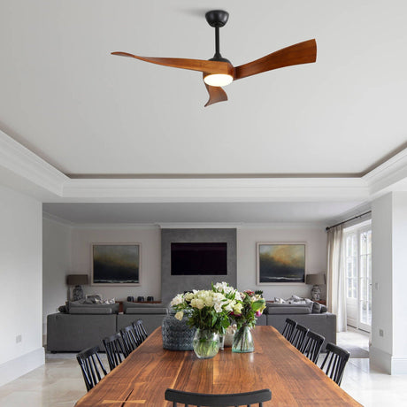 Ceiling Fan With Reversible DC Motor - Black HouseOfZazla