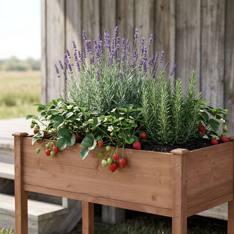 Elevated Raised Garden Bed For Outdoor HouseOfZazla