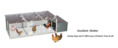 Large Chicken Coop with 20.93 Sq Ft Run HouseOfZazla
