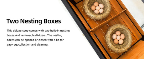 119.5" Outdoor Wooden Chicken Coop with Run HouseOfZazla