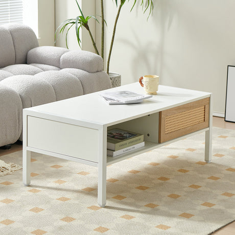 Modern Rattan Coffee Table with Sliding Door HouseOfZazla