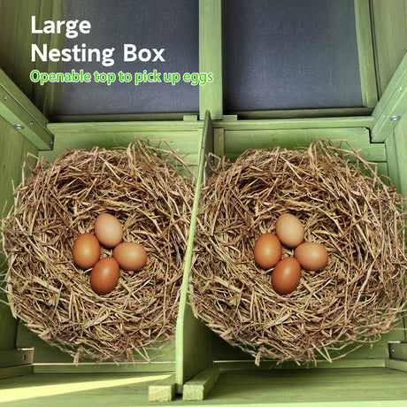 11.12 ft² Large Wooden Chicken Coop with Nesting Boxes & Perch HouseOfZazla