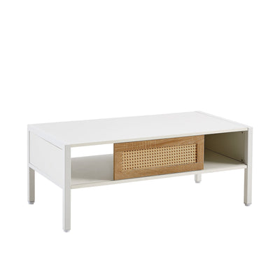 Modern Rattan Coffee Table with Sliding Door