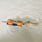 Fish Robot DIY Kit, Educational STEM Toy