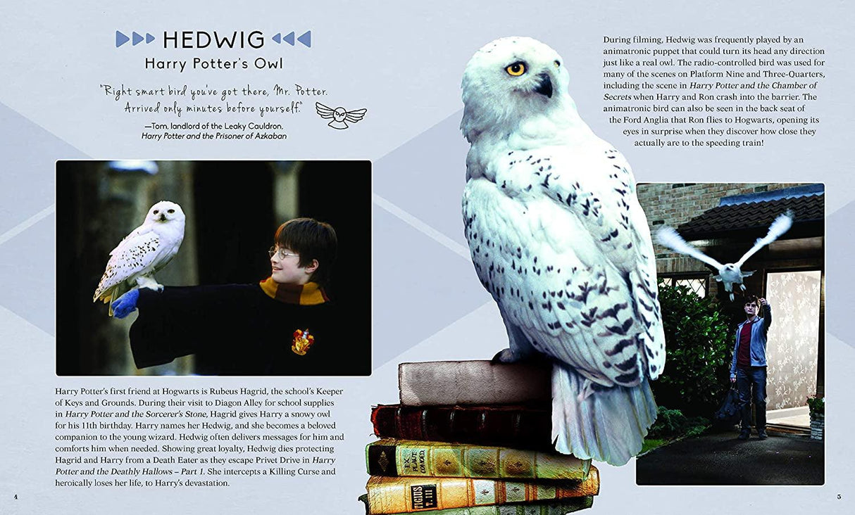 Hedwig 3D Wood Puzzle Kit - Build and Customise Your Own Harry Potter Owl Model WoodArtSupply