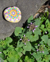 Hide & Seek Rock Painting Kit - Arts & Crafts for Kids - Includes Rocks & Waterproof Paint WoodArtSupply