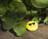 Hide & Seek Rock Painting Kit - Arts & Crafts for Kids - Includes Rocks & Waterproof Paint WoodArtSupply