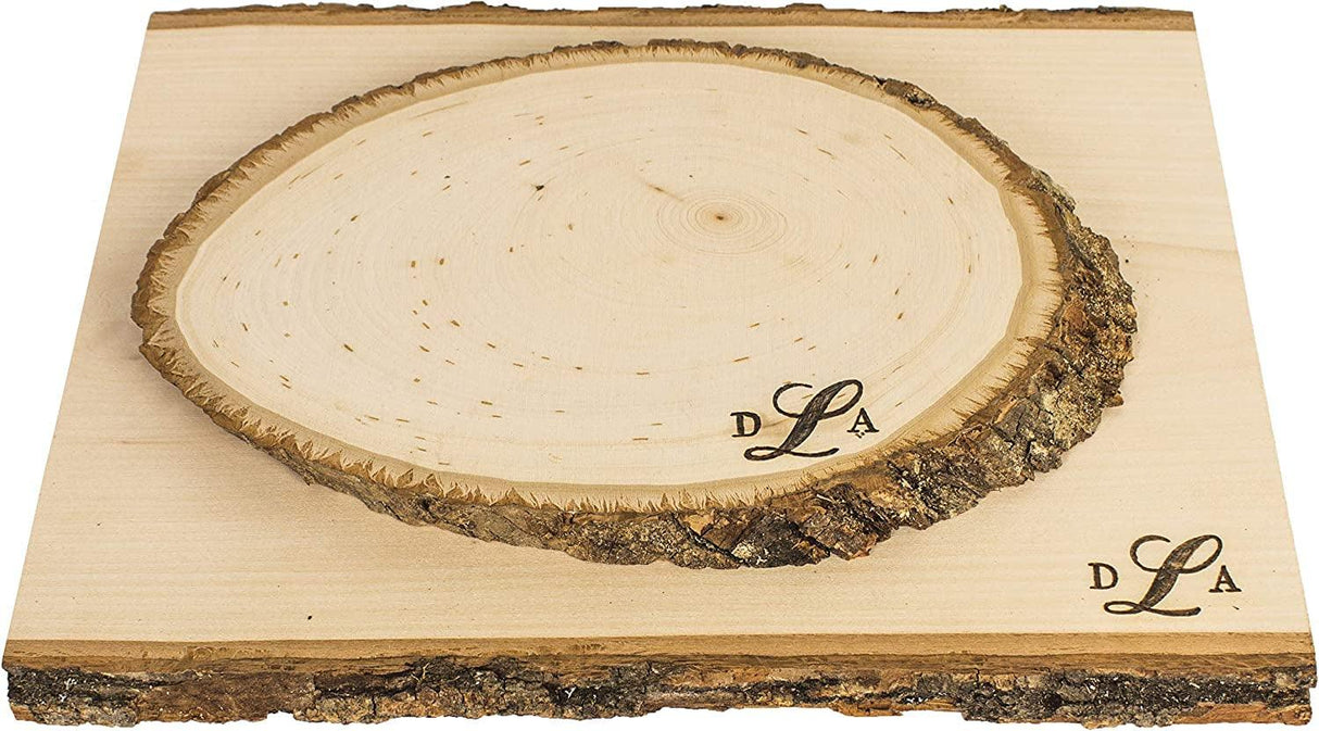 Variable Temperature Control for Woodburning, 11 Points (Tips), Original , Basic Pack WoodArtSupply