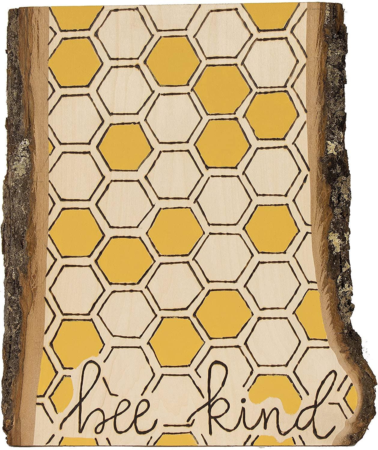 Variable Temperature Control for Woodburning, 11 Points (Tips), Original , Basic Pack WoodArtSupply