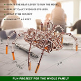 Wood Trick 3D Wooden Mechanical Spider Puzzle - Scuttles Up to 7 Feet WoodArtSupply