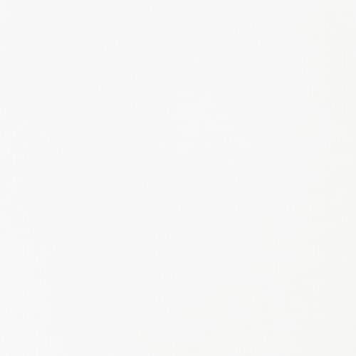 Liquitex BASICS Acrylic Fluid Paint, 118ml (4-oz) Bottle, Titanium White Liquitex