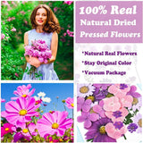 92 Pcs Purple Dried Pressed Flowers Real Natural Leave Petals for DIY Resin Candle Jewelry Nail Crafts WoodArtSupply